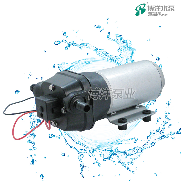 微型直流电动纯水隔膜泵
